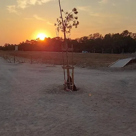 Il Giardino Hébergement de vacances Solarussa