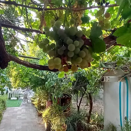 Hébergement de vacances Il Giardino