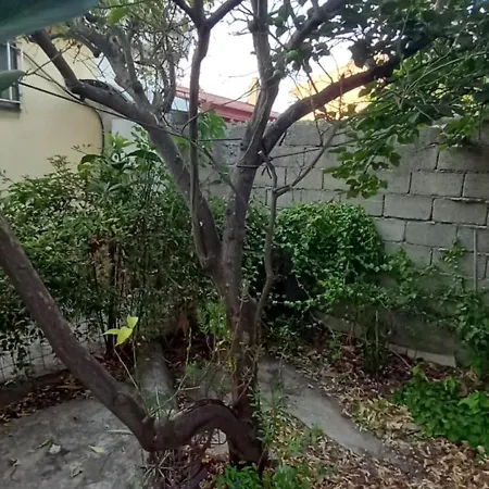 Σπίτι διακοπών Il Giardino Solarussa